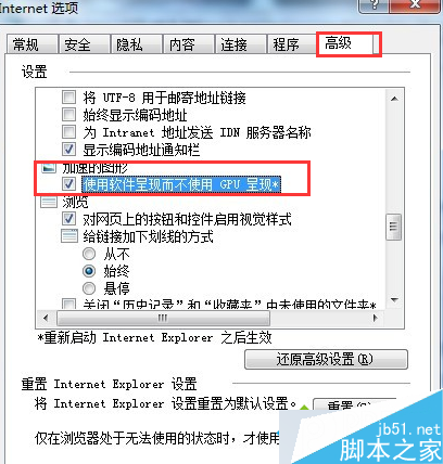 Win7系统使用IE9浏览器看视频没图像步骤三