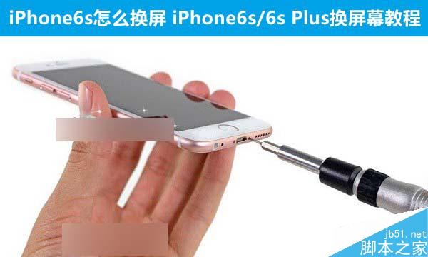 iPhone6s怎么换屏 iPhone6s/6s Plus换屏幕教程