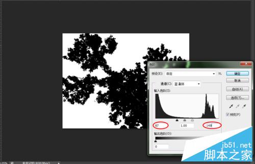 简单快速“通道”抠图—大树