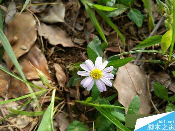 ZUK Z1��ϸ��������