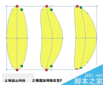 AI渐变网格制作叶片 脚本之家 AI实例教程