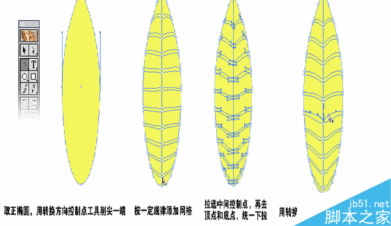 AI渐变网格制作叶片 脚本之家 AI实例教程