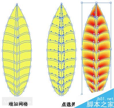 AI渐变网格制作叶片 脚本之家 AI实例教程