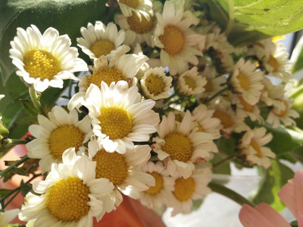 OPPO R7s怎么样 OPPO R7s图文评测