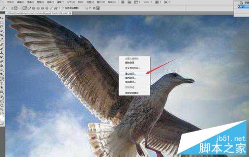 PHOTOSHOP CS5中用钢笔抠图