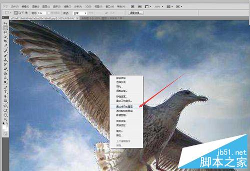 PHOTOSHOP CS5中用钢笔抠图