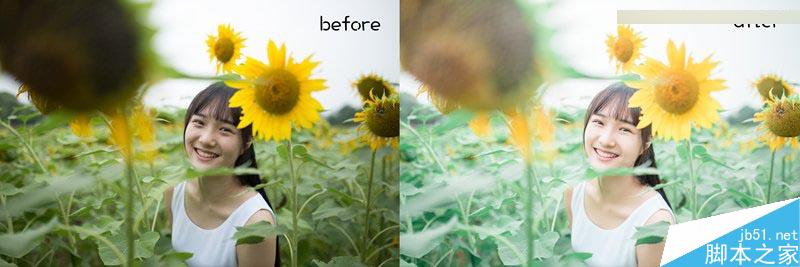Photoshop把在向日葵中的女孩调出唯美日系暖色调效果”
