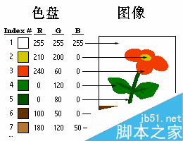 图像格式入门——索引色和抖动 脚本之家 CorelDraw入门教程