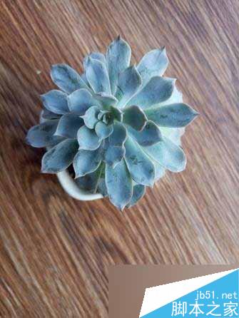 魅蓝metal和魅族MX5对比