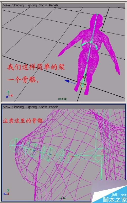 MAYA 初级柔体教程 脚本之家 MAYA角色动画教程