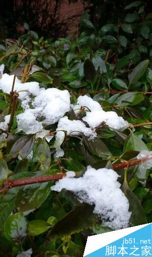 用手机怎样拍出好看的2015冬雪