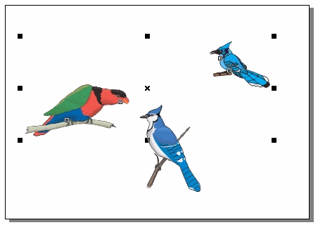 CorelDRAW 选取及填充对象的方法和具体操作步骤