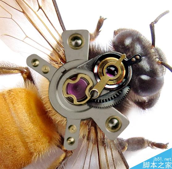 Photoshop合成非常逼真创意的机械小蜜蜂教程