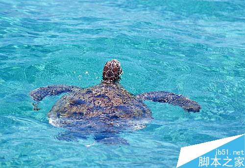 maya完美表现自然光 脚本之家 maya灯光教程