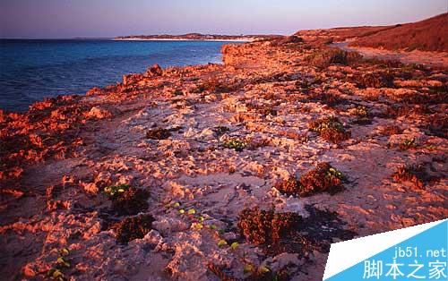 maya完美表现自然光 脚本之家 maya灯光教程