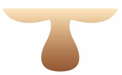 Illustrator绘制矢量风格简笔驯鹿头像_脚本之家　AI实例教程