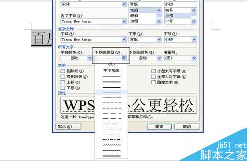 如何在Word(WPS)中给文字加下划线并进行设置