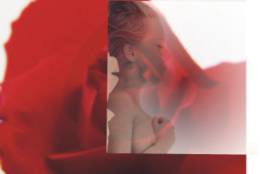 融会CorelDRAW9之透明合成 脚本之家 CorelDraw入门教程