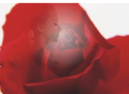 融会CorelDRAW9之透明合成 脚本之家 CorelDraw入门教程