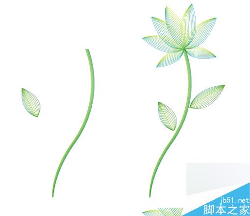 AI绘制矢量线型花朵 脚本之家 AI教程