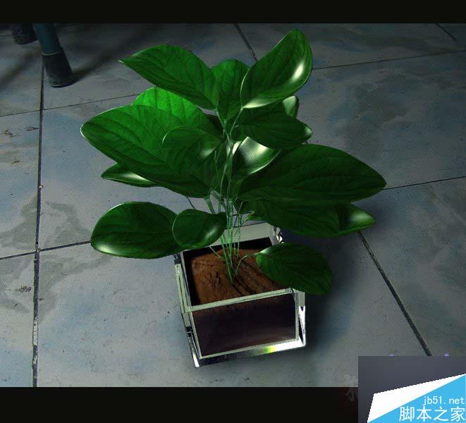 MAYA SSS制作真实的绿色植物材质教程”