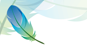 AI教程:AI绘制漂亮羽毛 脚本之家 AI教程