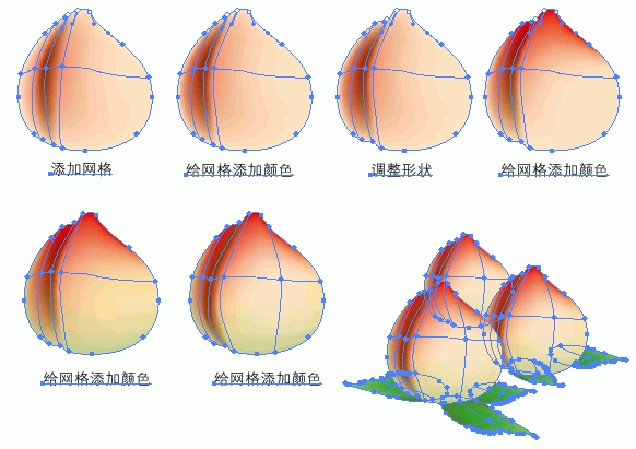 AI渐变网格绘制一个可口的桃子 脚本之家 AI教程