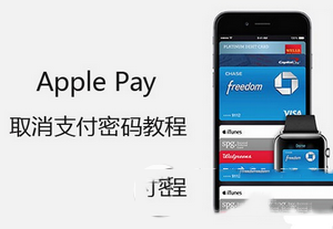 apple pay怎么设置免密支付 apple pay免密支付设置方法流程