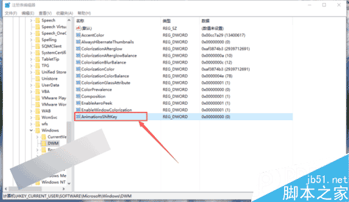 Win10系统怎么设置窗口动画慢放