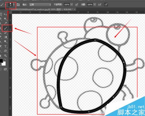 用PS钢笔工具描图方法介绍