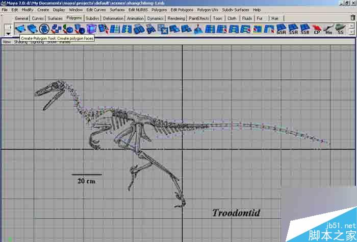 MAYA 7.0恐龙建模教程 脚本之家 MAYA建模教程