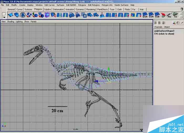 MAYA 7.0恐龙建模教程 脚本之家 MAYA建模教程