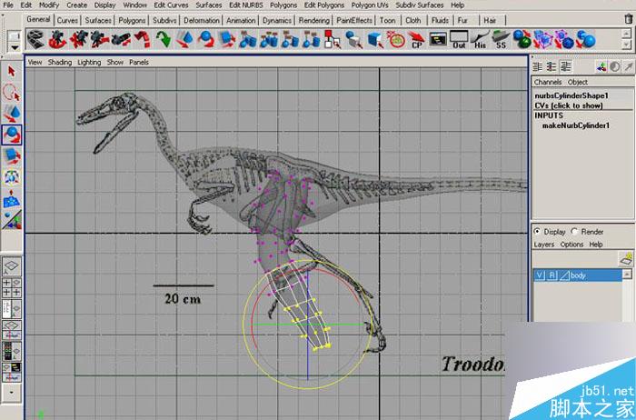 MAYA 7.0恐龙建模教程 脚本之家 MAYA建模教程