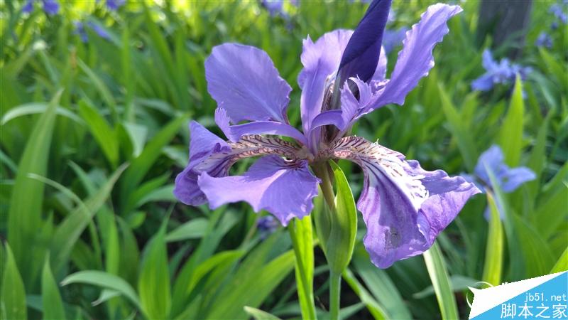 nubia Z11 mini�׷����⣺˫2.5D�ָо��ޣ�