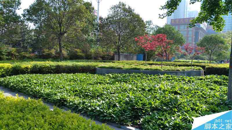 nubia Z11 mini�׷����⣺˫2.5D�ָо��ޣ�