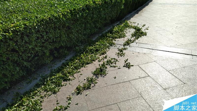 nubia Z11 mini�׷����⣺˫2.5D�ָо��ޣ�