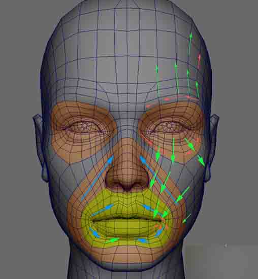MAYA人头布线 脚本之家 MAYA建模教程