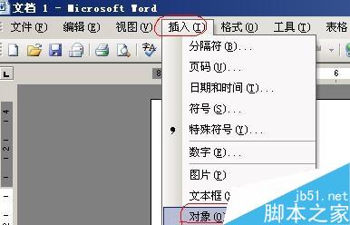 word2003和2007公式编辑器在哪的解决方法