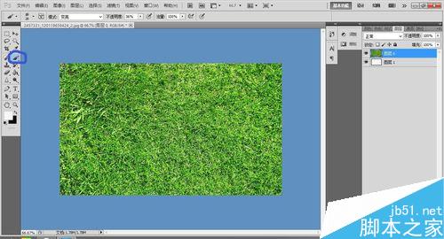 ps制作一张草坪上写字的效果图