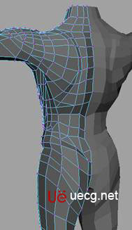 MAYA建模教程：人体躯干的建立