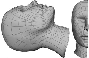 MYAY NURBS人头高级建模教程 脚本之家 MAYA建模教程