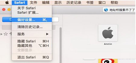 safari地址栏无法搜索怎么办 safari地址栏搜索不了解决方法1