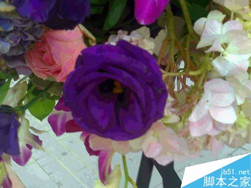 如何把花篮中深紫色的玫瑰花拍得漂亮?”