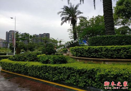 锤子M1和一加3买哪个好？锤子M1和一加3全面区别对比深度评测图解