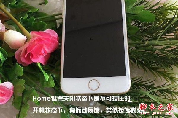 iPhone7怎么辨别真假？苹果iPhone7及iPhone7 Plus手机真假辨别教程详解