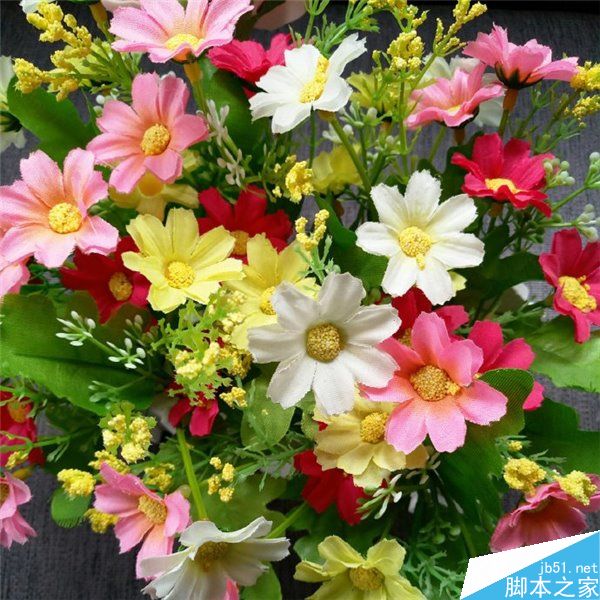 魅族X对比荣耀8拍照样张曝光 进光量更大