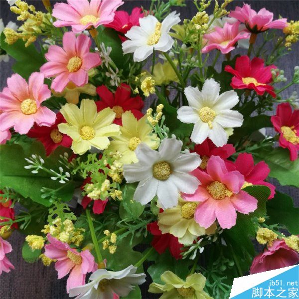 魅族X对比荣耀8拍照样张曝光 进光量更大