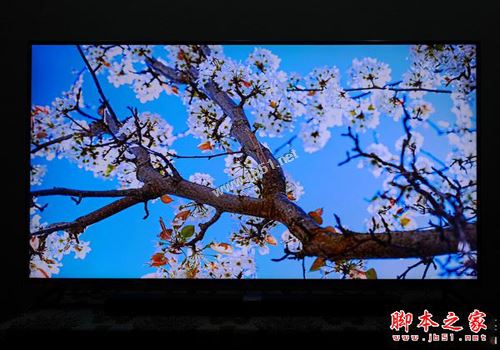 小米电视3s 65寸全面深度评测图解: 4999元小米电视3s值得买吗？