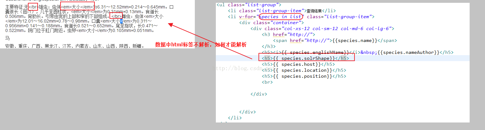 html解决Vue.js渲染中html标签不被解析的问题