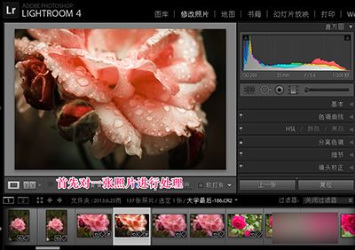 Lightroom批量处理的方法详解